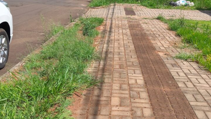 Prefeitura de Chapecó alerta para limpeza de terrenos baldios e manutenção das calçadas