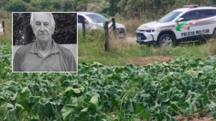 Identificado homem encontrado morto em plantação de morangas no interior de Palmeira