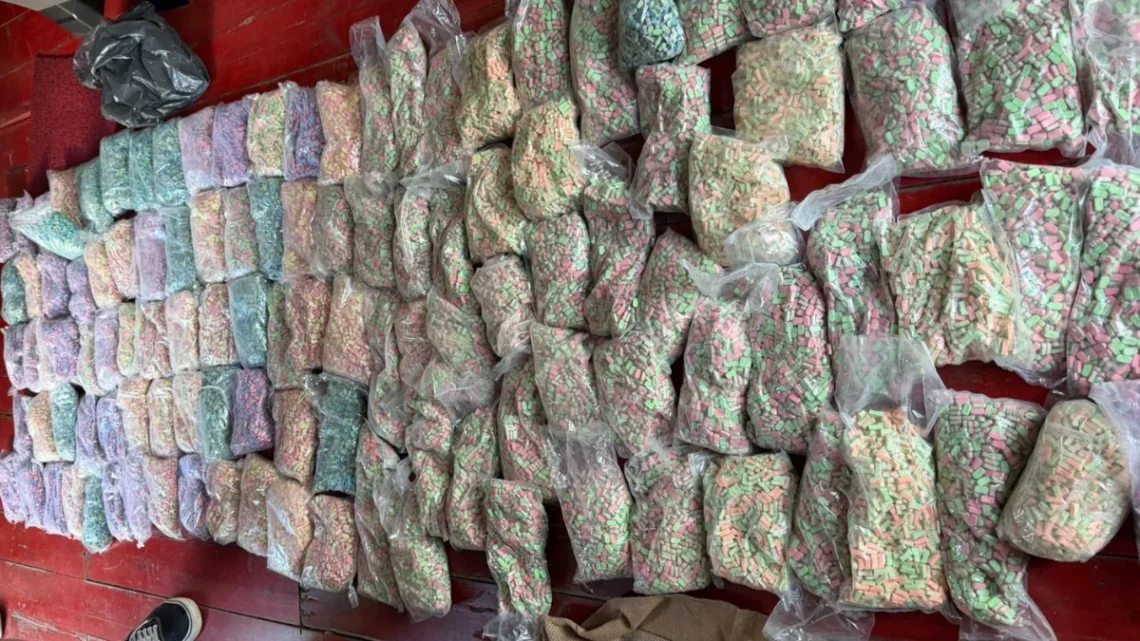 Homem é preso com 120 mil comprimidos de ecstasy destinados a eventos eletrônicos em SC