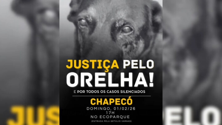 ‘Justiça pelo cão Orelha’: manifestação será feita em Chapecó; veja quando e onde