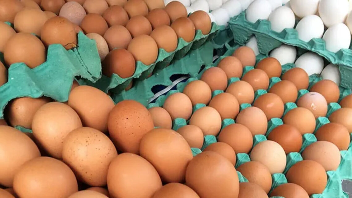 Preço do ovo dispara e registra alta de 60% em uma semana