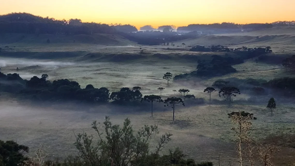 Serra Catarinense registra 2ª geada de 2026 com mínima de 0,9°C em pleno janeiro
