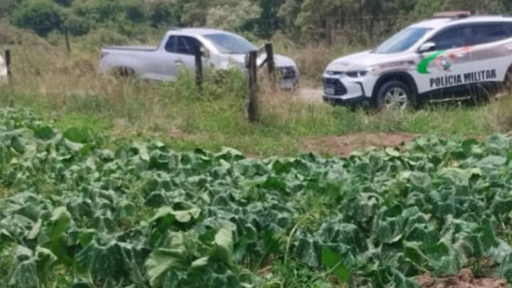 Homem é encontrado morto em plantação de morangas na Serra de SC