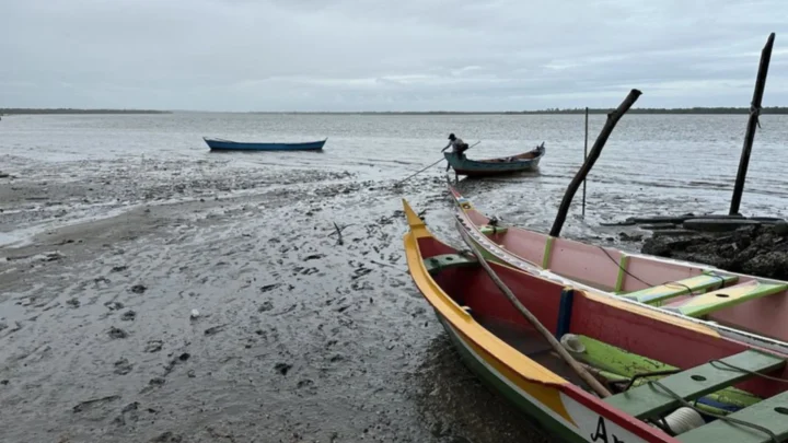 Quase 18 mil pescadores artesanais de SC podem perder a licença de pesca