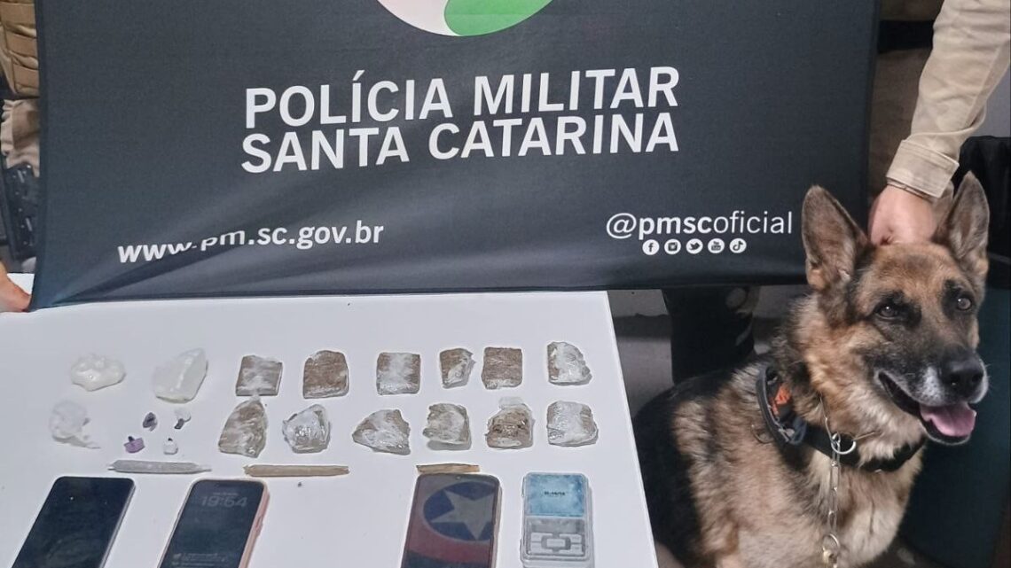 Mulher com tornozeleira eletrônica é presa por tráfico de drogas em Chapecó