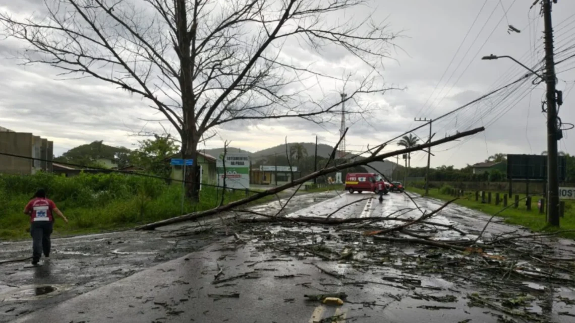 São Francisco do Sul registra microexplosão, diz Defesa Civil