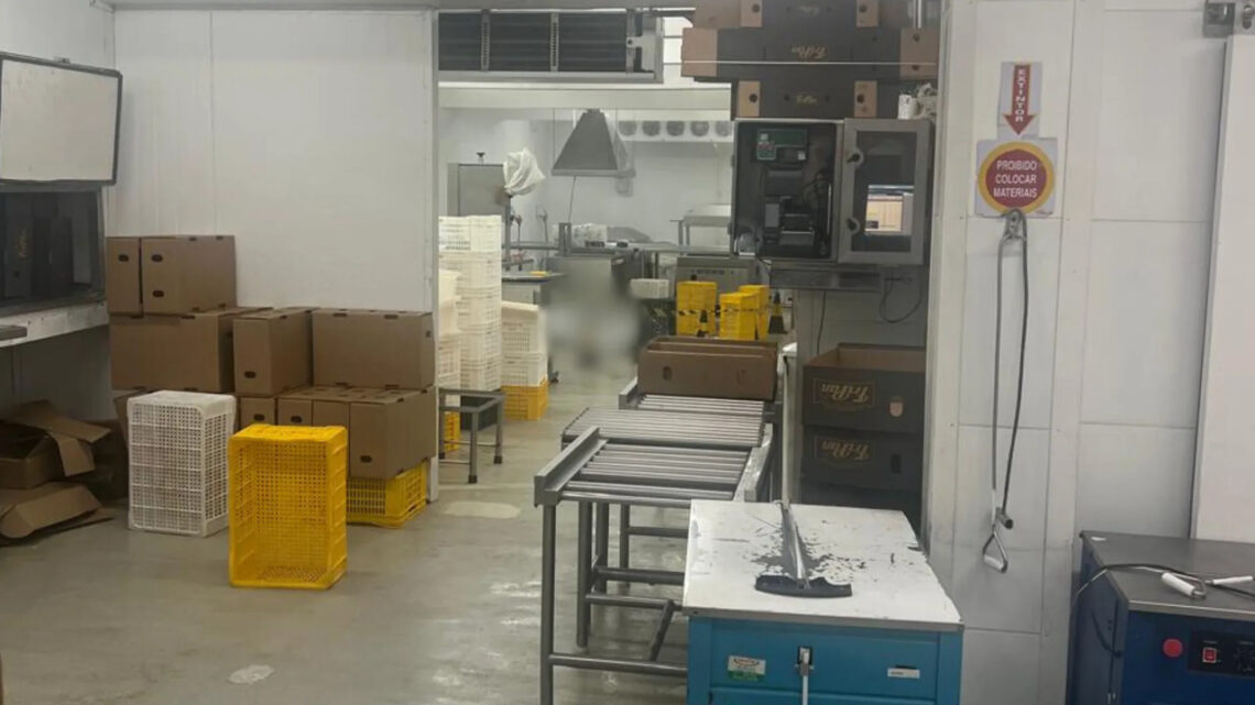 Trabalhador é morto a facadas por colega em frigorífico de Itajaí