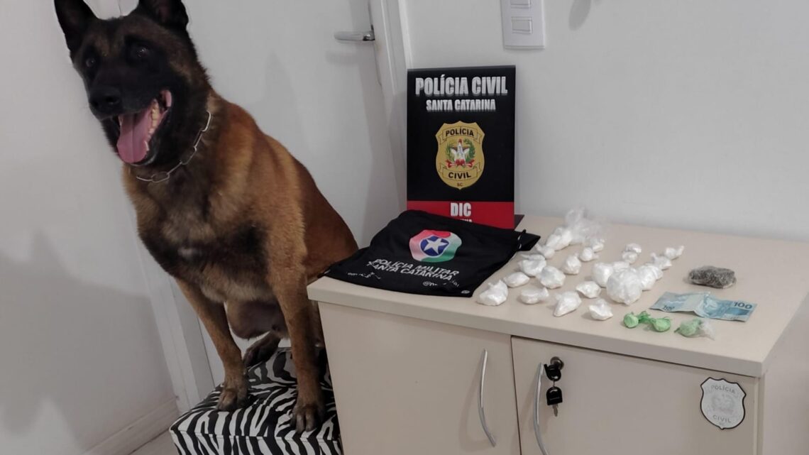 Polícia Civil e Polícia Militar prendem jovem por tráfico de cocaína em Laguna