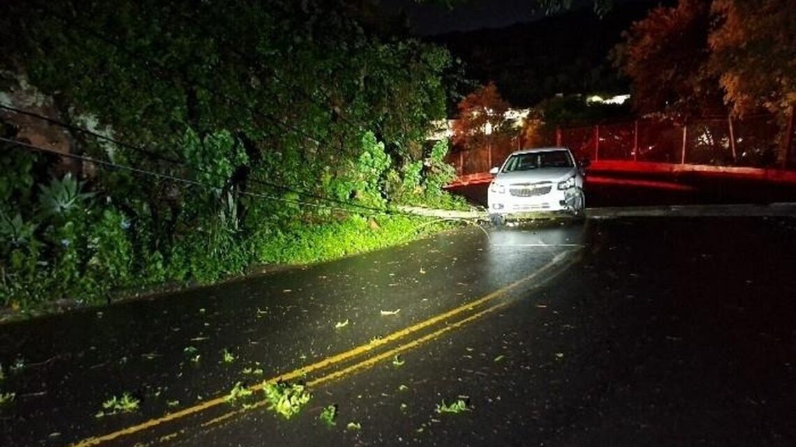Motorista bate em postes, foge do local e deixa rua interditada durante a madrugada