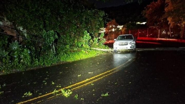 Motorista bate em postes, foge do local e deixa rua interditada durante a madrugada