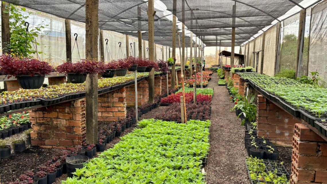 Harmoniza Chapecó realiza troca de resíduos orgânicos por flores