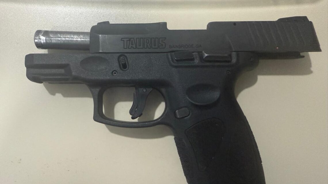 Polícia Civil apreende arma usada para intimidar ex-companheira em São Domingos