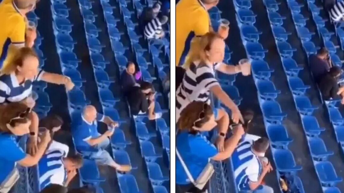 Polícia Civil de SC indicia torcedora do Avaí por racismo contra torcedores do Remo; veja o vídeo