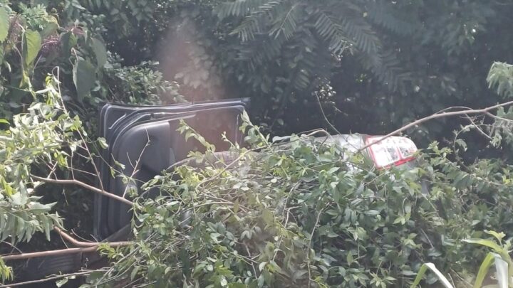 Motorista e passageira de carro sofrem diversas picadas de abelha após acidente em Palmitos